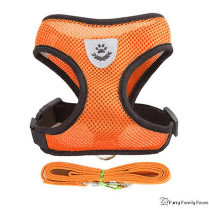 Adjustable Vest Pet Harness: Safe, Comfortable, & Breathable - Small - Furry Family Faves