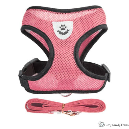 Adjustable Vest Pet Harness: Safe, Comfortable, & Breathable - Small - Furry Family Faves