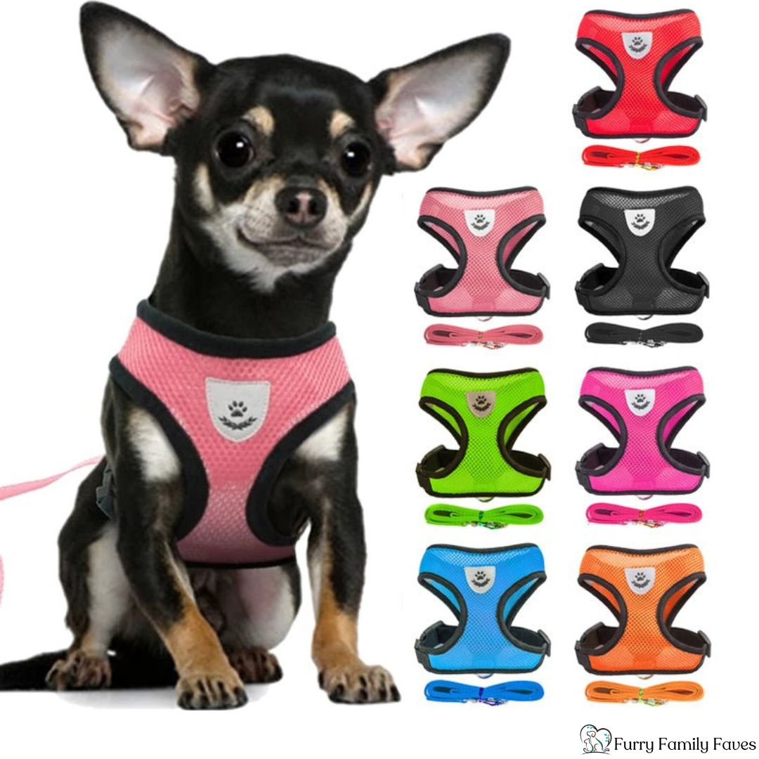 Adjustable Vest Pet Harness: Safe, Comfortable, & Breathable - Small - Furry Family Faves