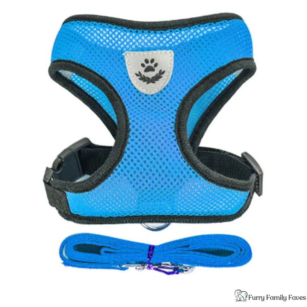 Adjustable Vest Pet Harness: Safe, Comfortable, & Breathable - Small - Furry Family Faves