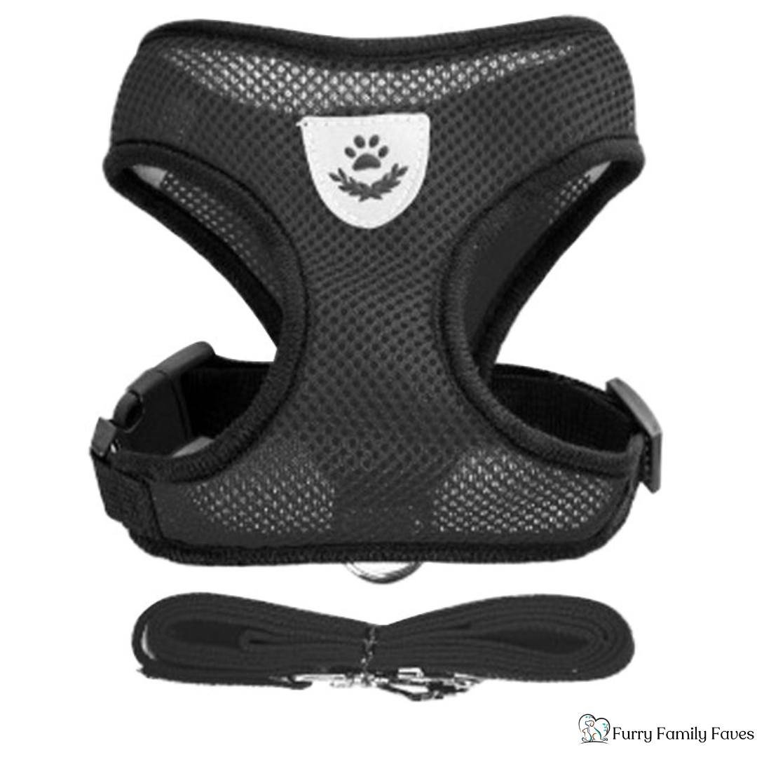 Adjustable Vest Pet Harness: Safe, Comfortable, & Breathable - Small - Furry Family Faves