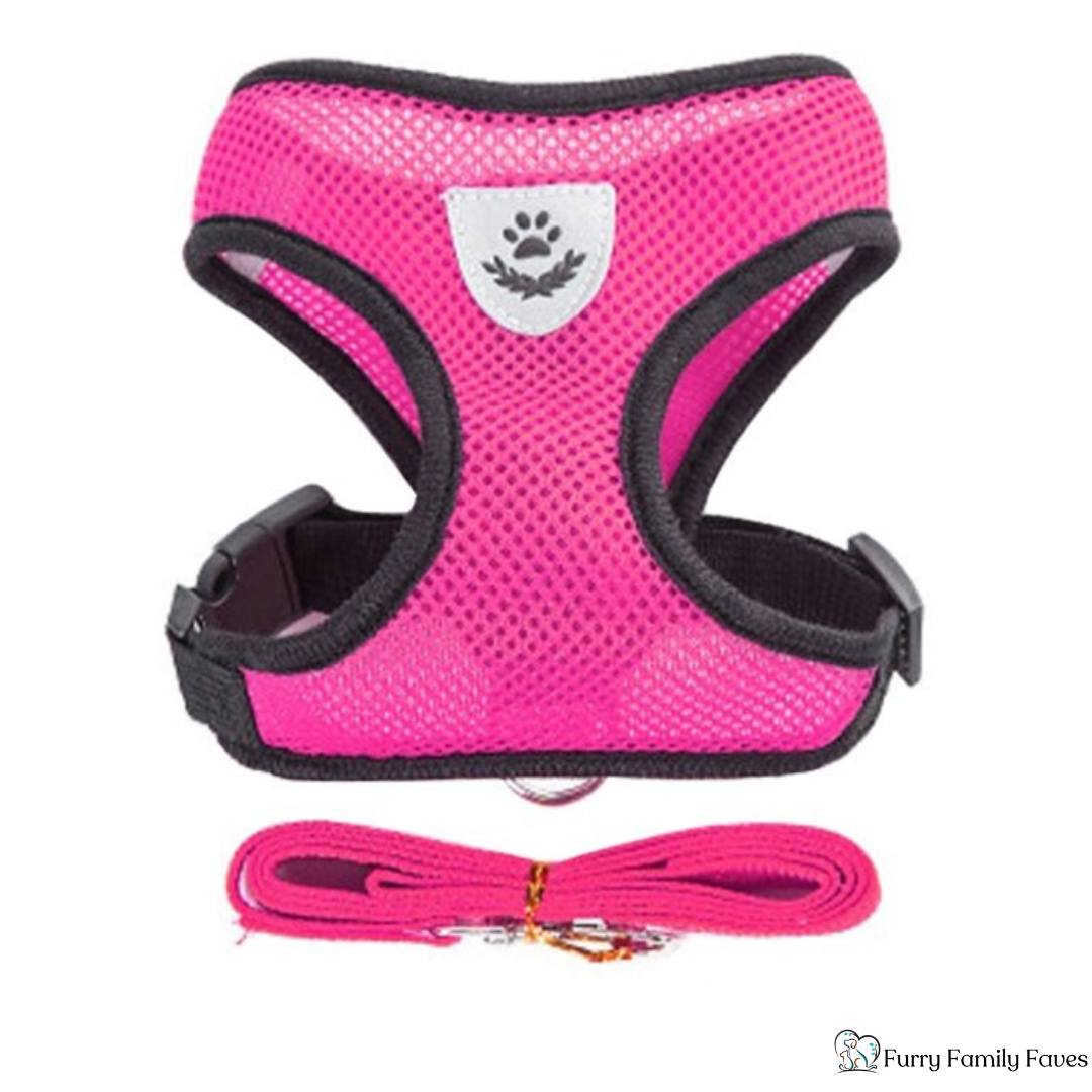 Adjustable Vest Pet Harness: Safe, Comfortable, & Breathable - Small - Furry Family Faves