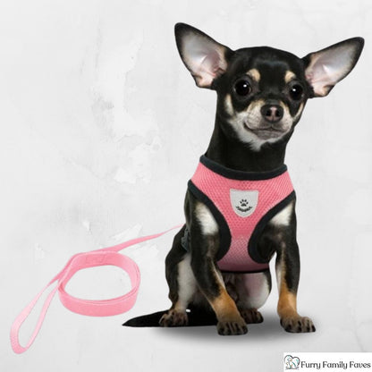 Adjustable Vest Pet Harness: Safe, Comfortable, & Breathable - Small - Furry Family Faves