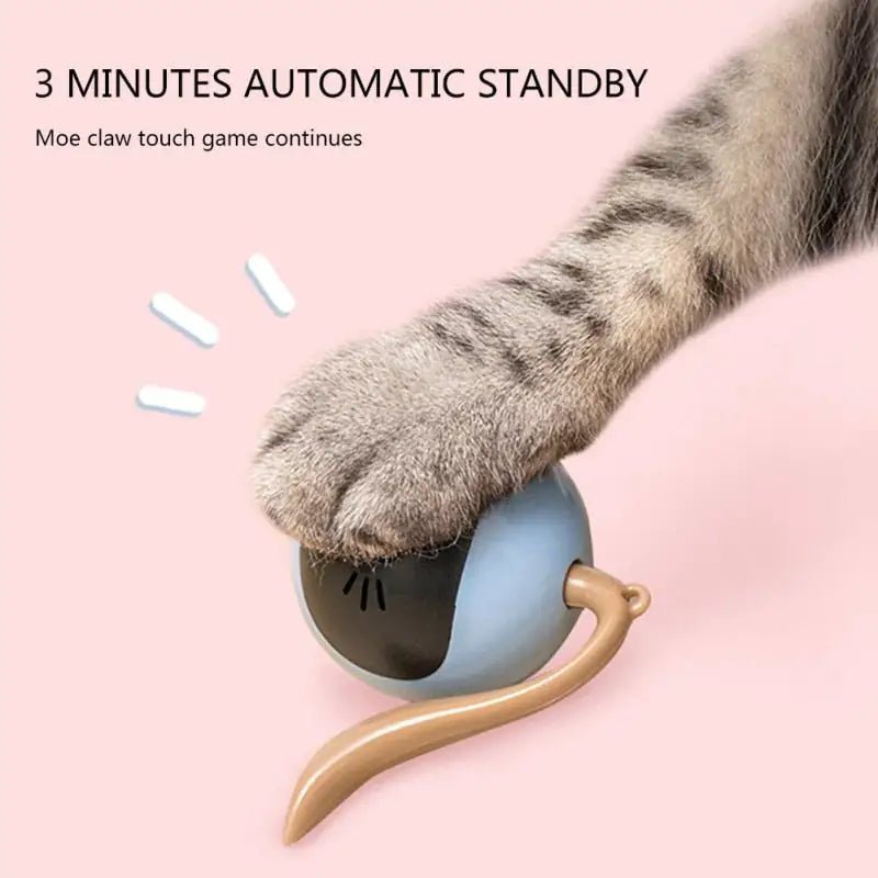 Automatic Self Rotating Cat Toy - Furry Family Faves