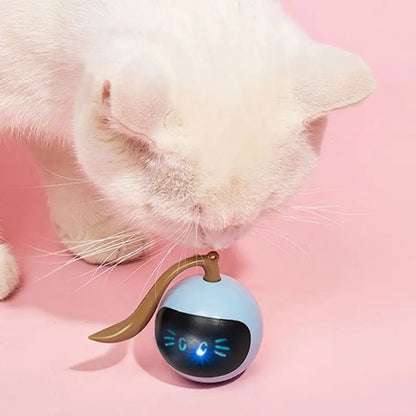 Automatic Self Rotating Cat Toy - Furry Family Faves