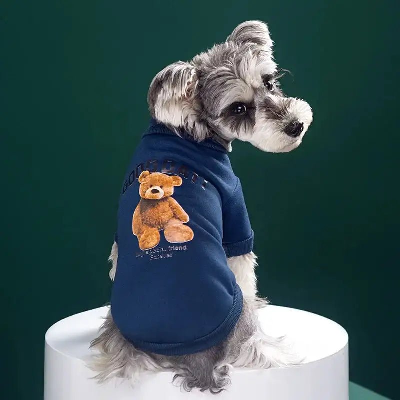 Bear Embrace Pullover - Furry Family Faves