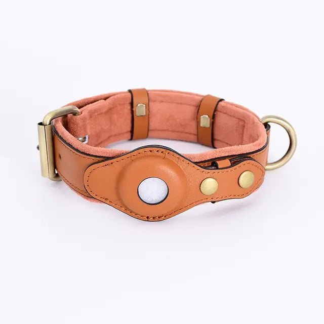 Leather Anti-Lost Dog Collar - Furry Family Faves