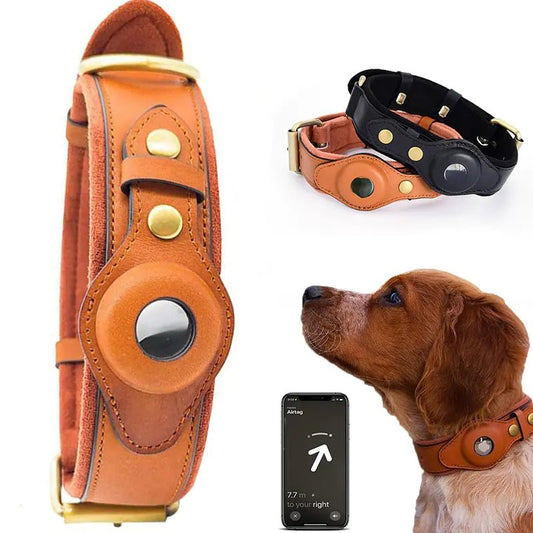 Leather Anti-Lost Dog Collar - Furry Family Faves