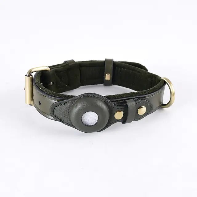 Leather Anti-Lost Dog Collar - Furry Family Faves