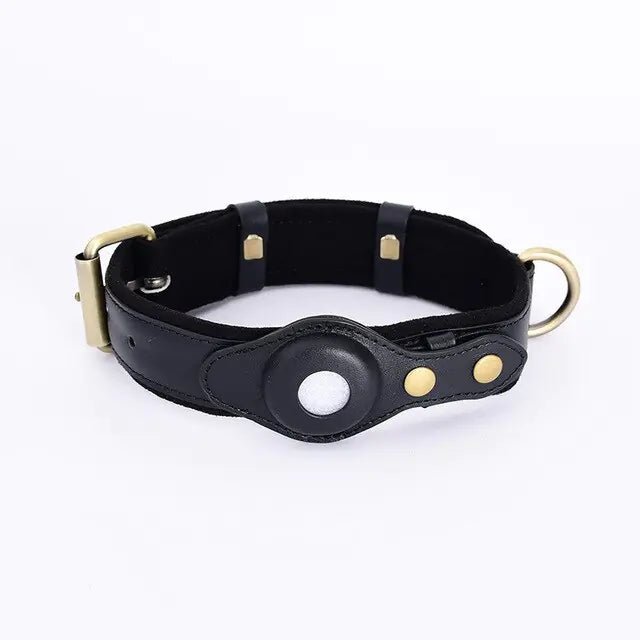 Leather Anti-Lost Dog Collar - Furry Family Faves