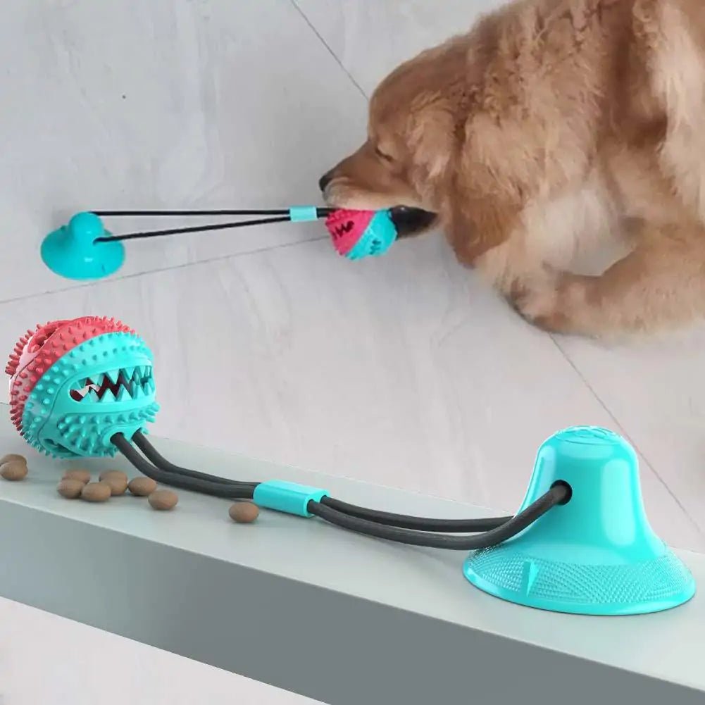 Multifunction Pet Molar Bite Toy - Furry Family Faves