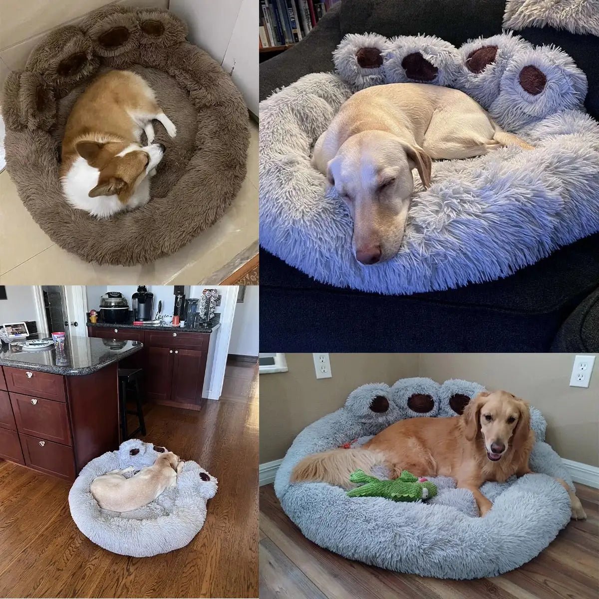 Pet Dog Sofa Beds - Furry Family Faves