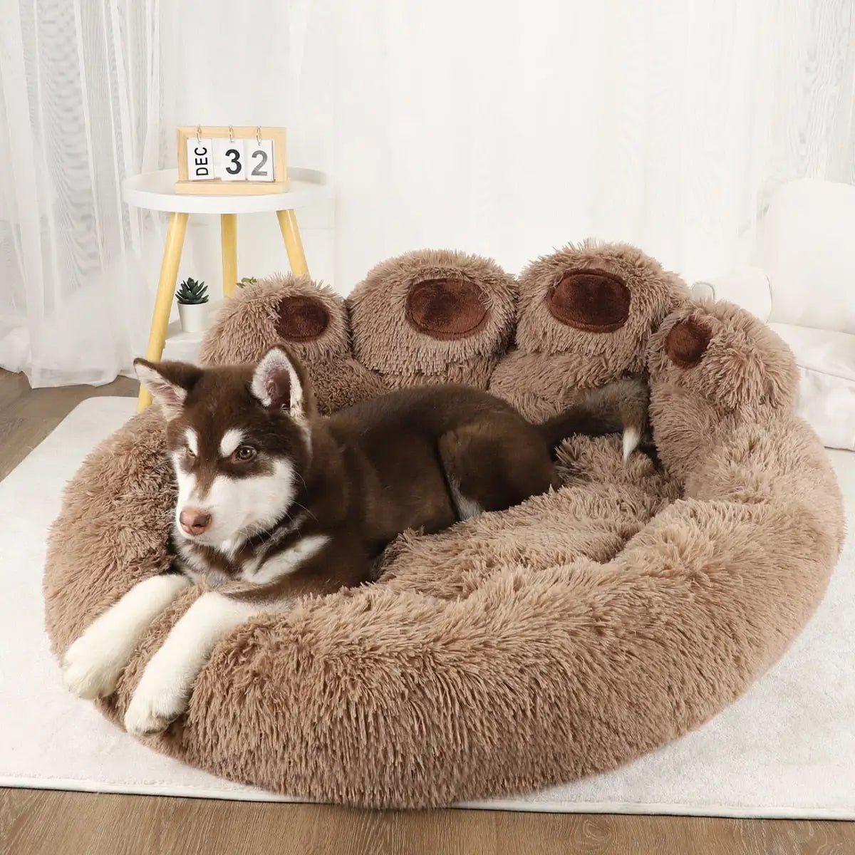 Pet Dog Sofa Beds - Furry Family Faves