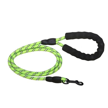 Premium Quality Nylon Leash - Furry Family Faves