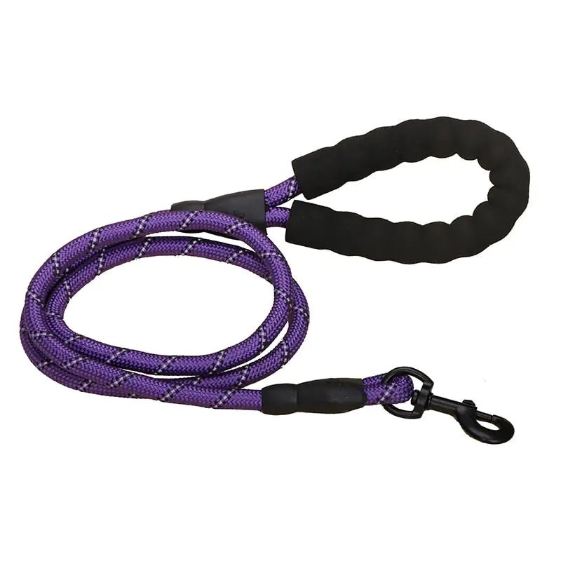 Premium Quality Nylon Leash - Furry Family Faves