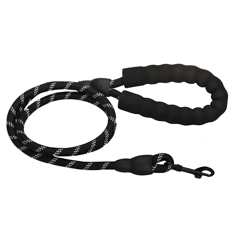 Premium Quality Nylon Leash - Furry Family Faves