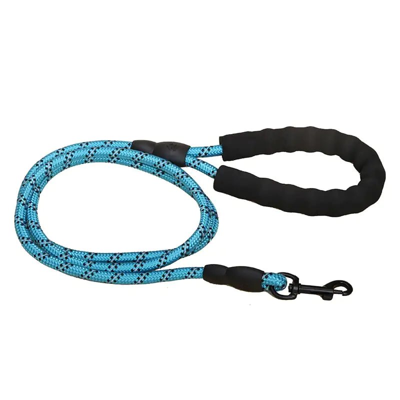 Premium Quality Nylon Leash - Furry Family Faves