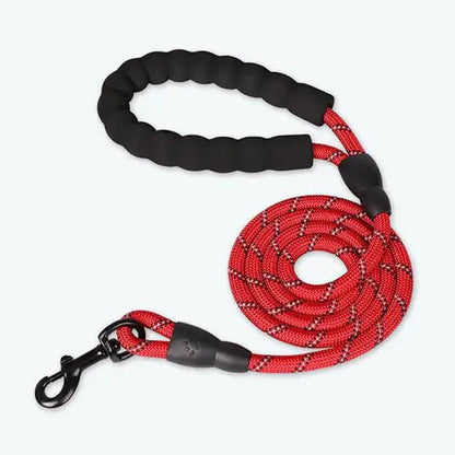 Premium Quality Nylon Leash - Furry Family Faves