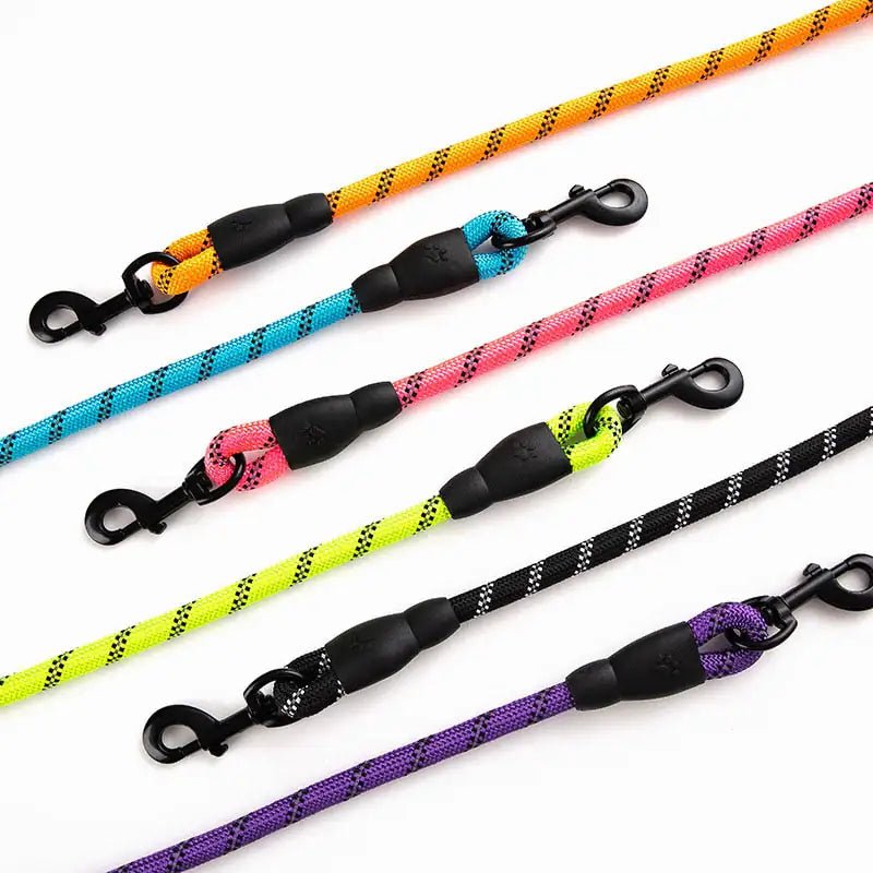 Premium Quality Nylon Leash - Furry Family Faves