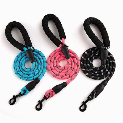 Premium Quality Nylon Leash - Furry Family Faves