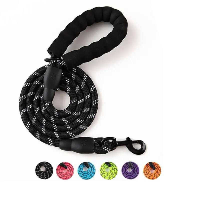 Premium Quality Nylon Leash - Furry Family Faves