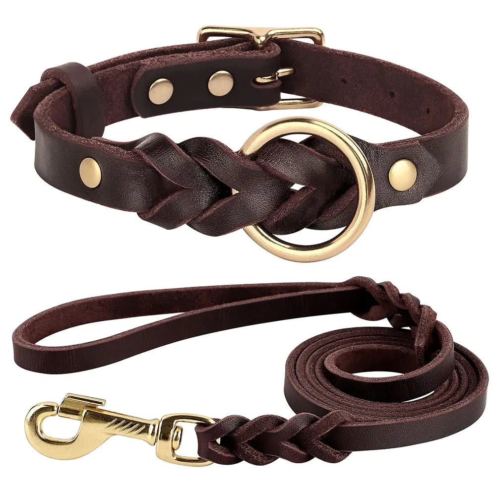 Premium Soft Leather Dog Collar and Leash Set for Stylish Canine Comfort - Furry Family Faves