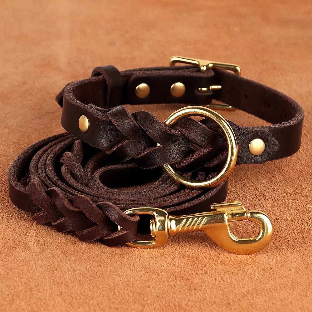 Premium Soft Leather Dog Collar and Leash Set for Stylish Canine Comfort - Furry Family Faves