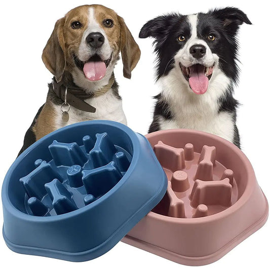 Slow Feeder Bone Design Pet Bowl - Furry Family Faves