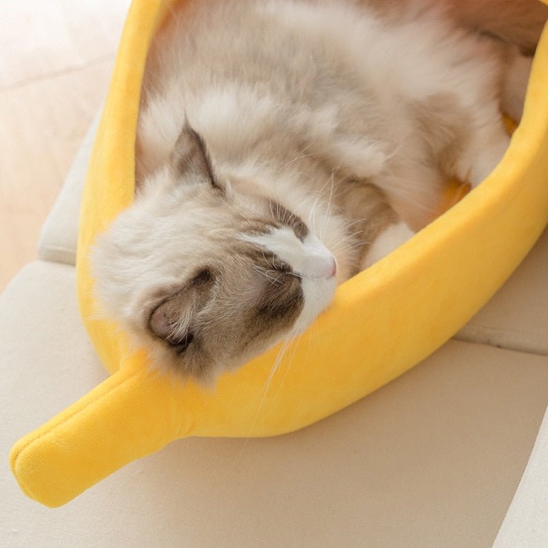 Banana Cat Bed - Furry Family Faves