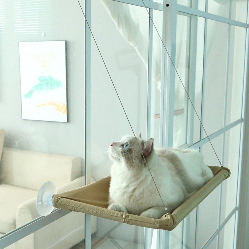 Cat Hanging Bed Shelf Sunny Window Love - Furry Family Faves