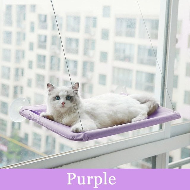 Cat Hanging Bed Shelf Sunny Window Love - Furry Family Faves