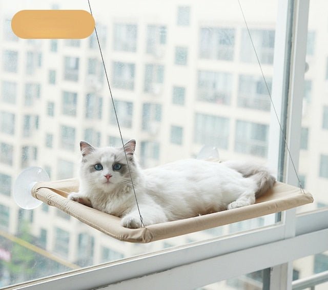 Cat Hanging Bed Shelf Sunny Window Love - Furry Family Faves