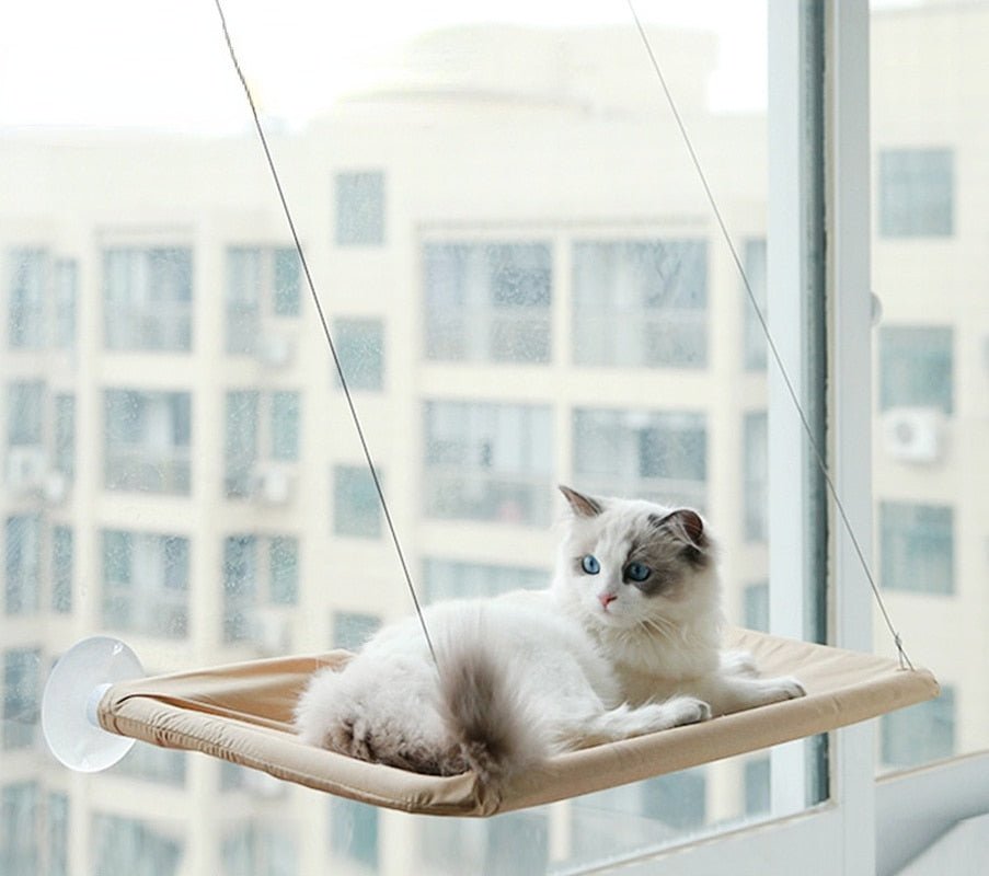 Cat Hanging Bed Shelf Sunny Window Love - Furry Family Faves