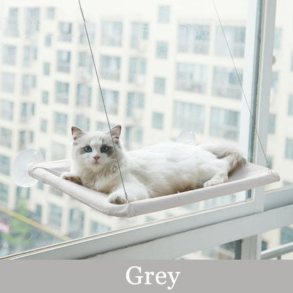 Cat Hanging Bed Shelf Sunny Window Love - Furry Family Faves