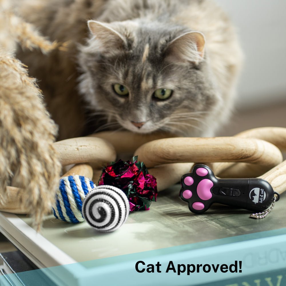 Cat Laser Toy, USB Rechargeable Laser Light Toy - Furry Family Faves