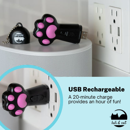 Cat Laser Toy, USB Rechargeable Laser Light Toy - Furry Family Faves