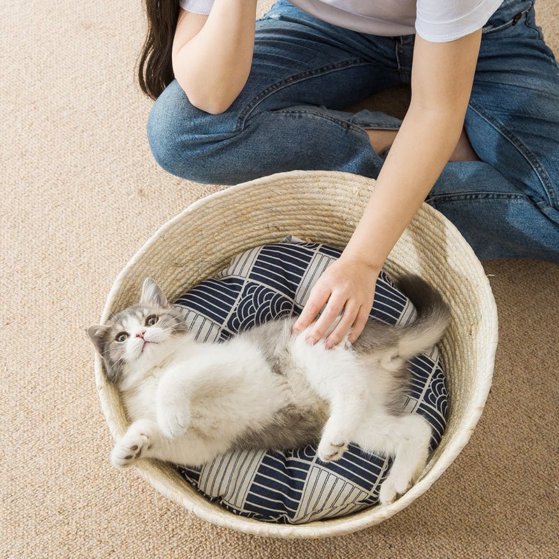 Cat Straw Bed Basket Design - Furry Family Faves