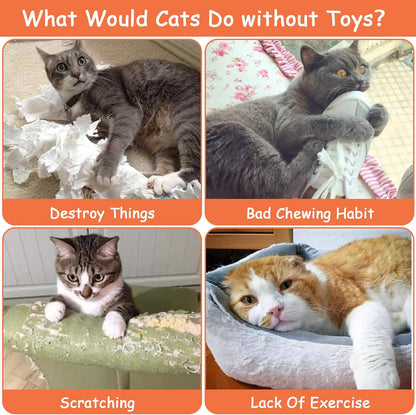 Catnip Toys - Furry Family Faves