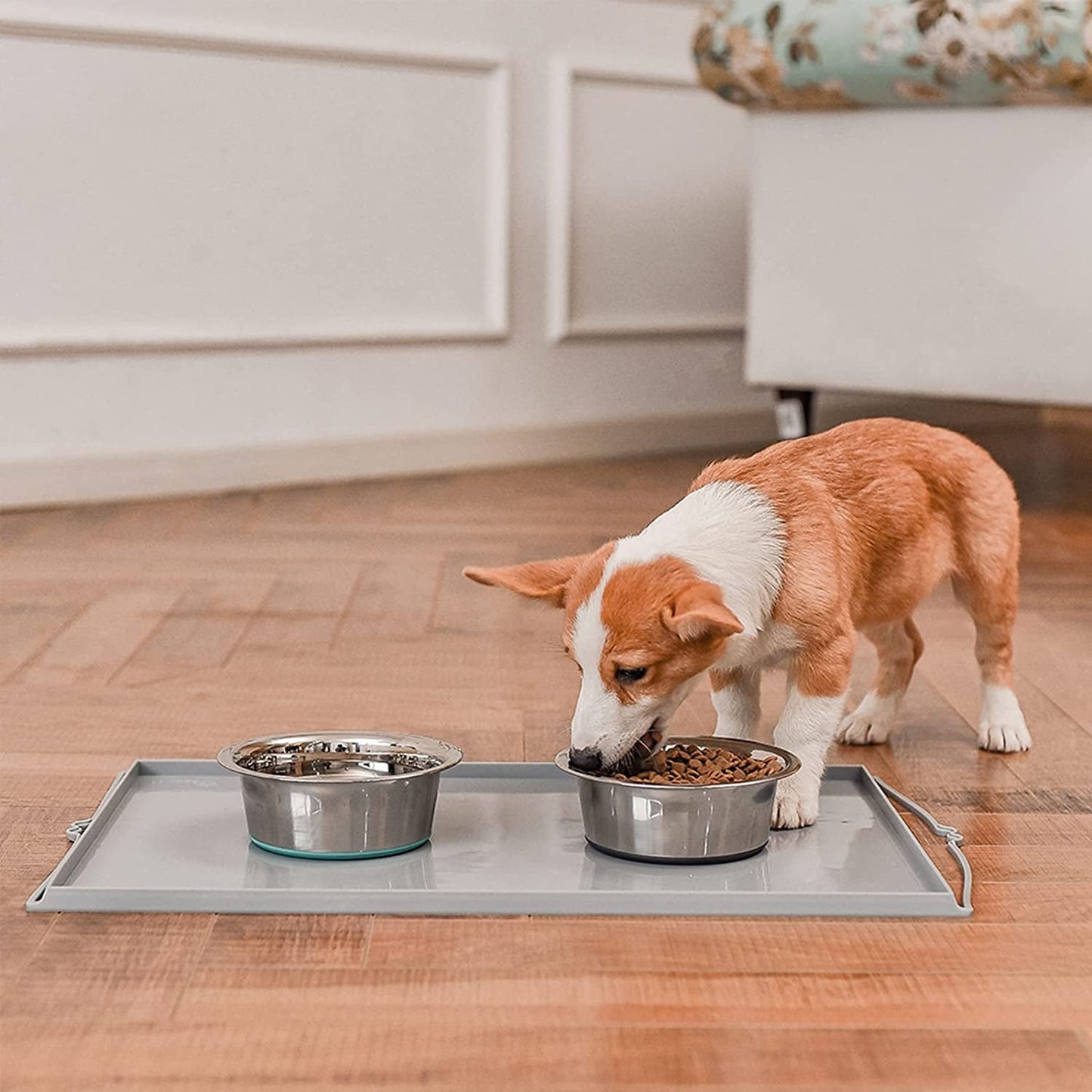 Deep Stainless Steel Anti-Slip Dog Bowls, 2 Pack, 3 Cups - Furry Family Faves