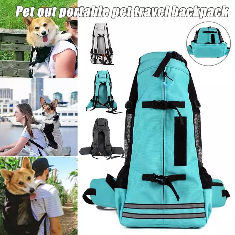 Dog Carrier - Furry Family Faves