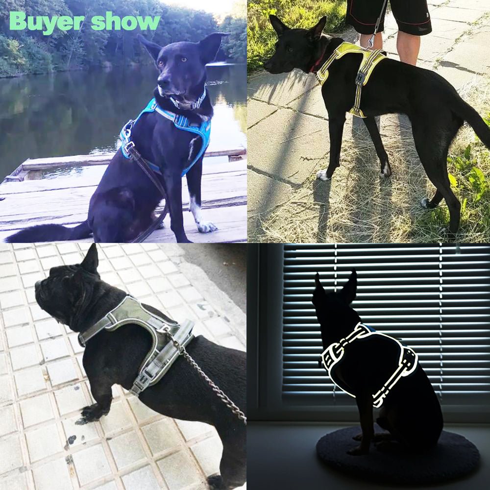 Dog Harness - Furry Family Faves