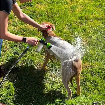 Dog Spa Jet - Furry Family Faves