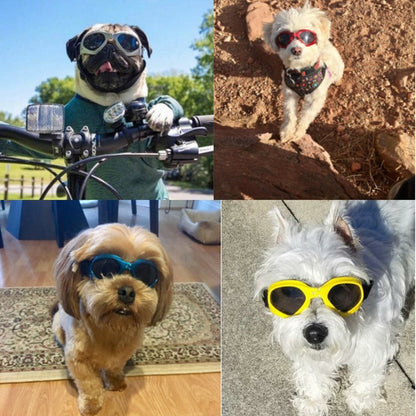 Dog Sunglasses - Furry Family Faves