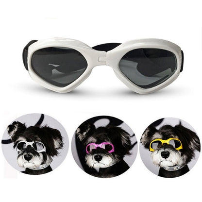 Dog Sunglasses - Furry Family Faves