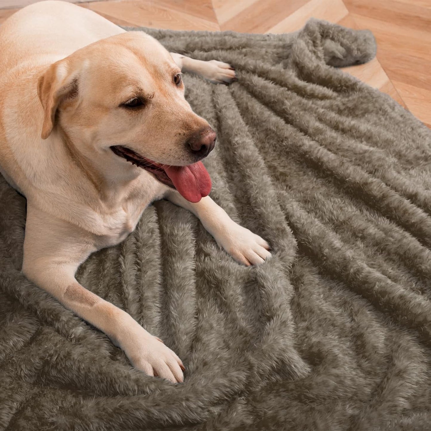 Fluffy Fleece Dog Blanket (40X60 Inch, Taupe) - Furry Family Faves