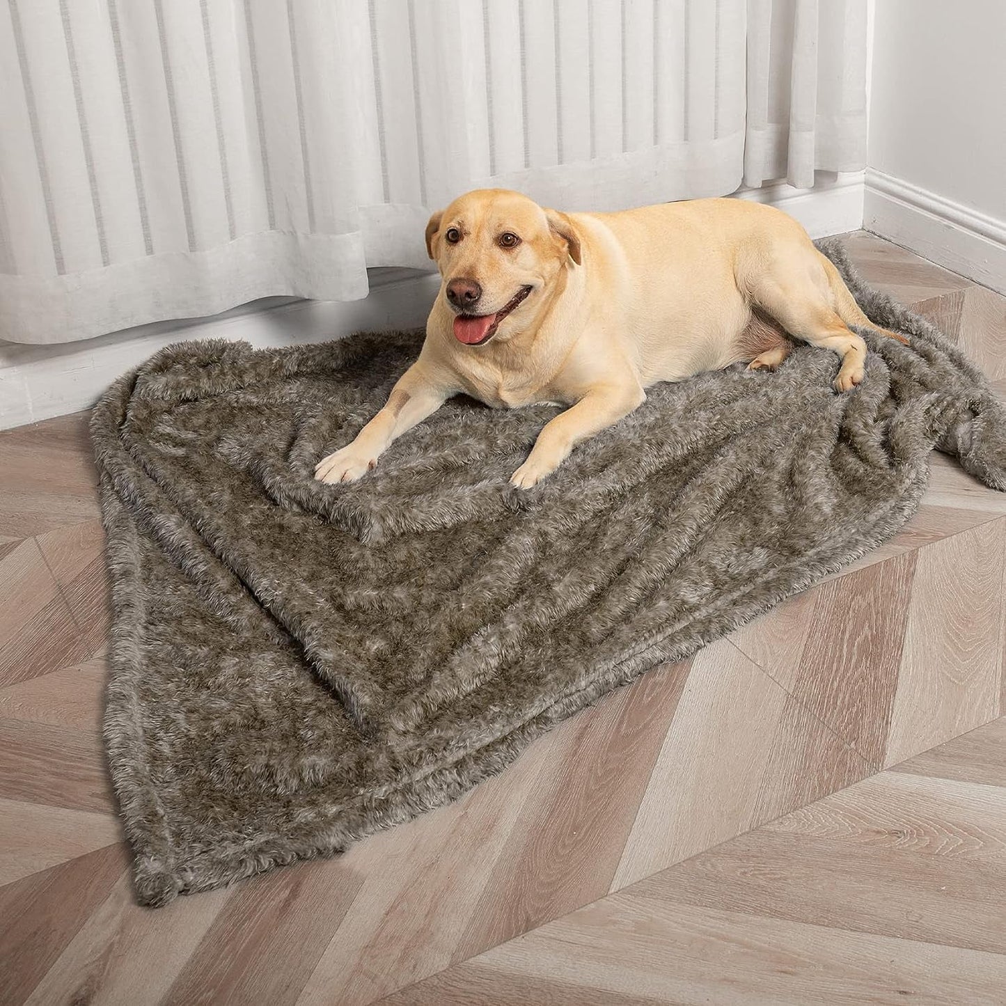 Fluffy Fleece Dog Blanket (40X60 Inch, Taupe) - Furry Family Faves