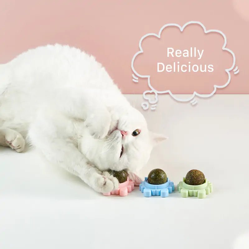 Healthy Cat Catnip Toys Snack - Furry Family Faves