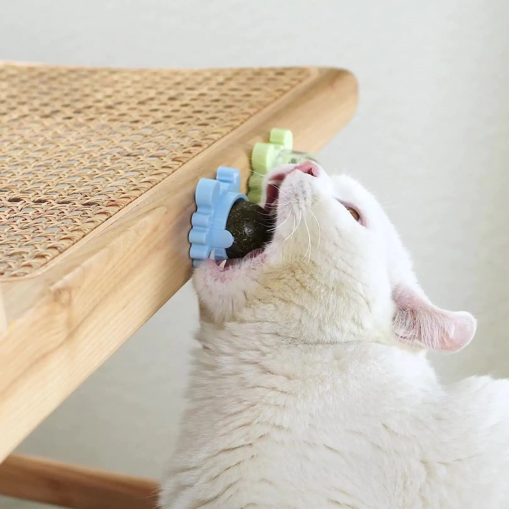 Healthy Cat Catnip Toys Snack - Furry Family Faves