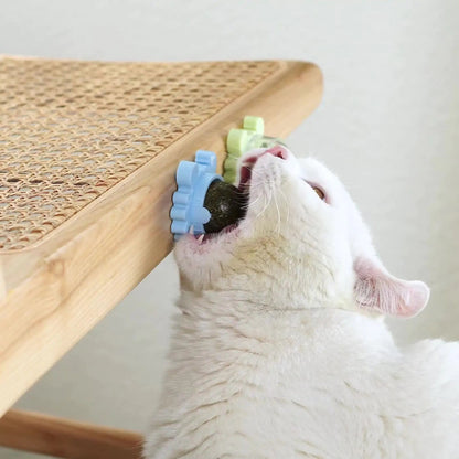 Healthy Cat Catnip Toys Snack - Furry Family Faves