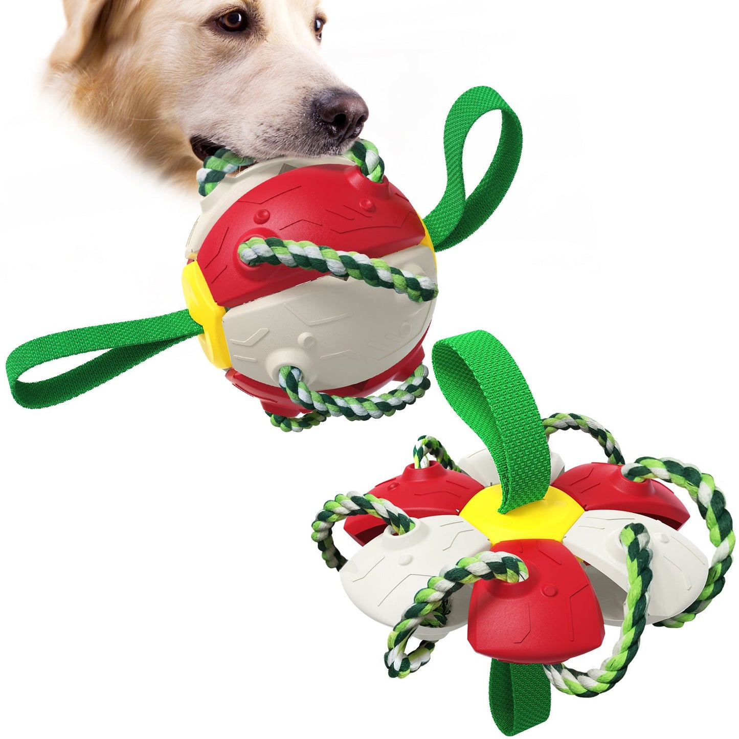 Interactive Dog Toy - Furry Family Faves